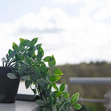 Lägenhet Familien-apartment Mit Seeblick Spalt